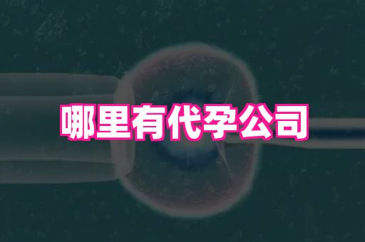 河南助孕网站 1