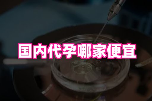 河南助孕网站 2